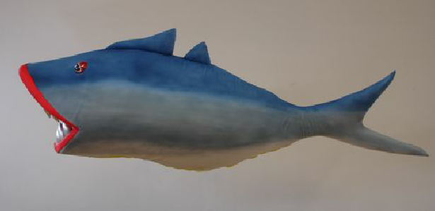 nature; cartoon; shark
