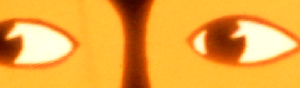 coloured shadows; puppet design